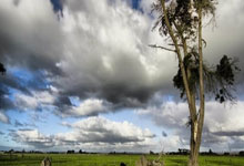 英超第5輪西漢姆聯1-1熱刺 凱恩造烏龍紹切克扳平.